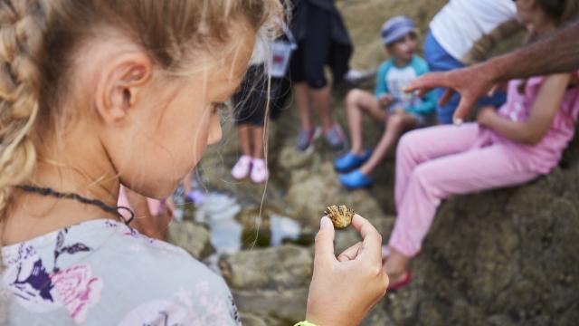 ©alamoureux Découverte Guidée Du Littoral (24)