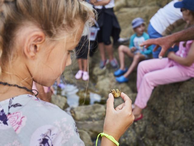 ©alamoureux Découverte Guidée Du Littoral (24)