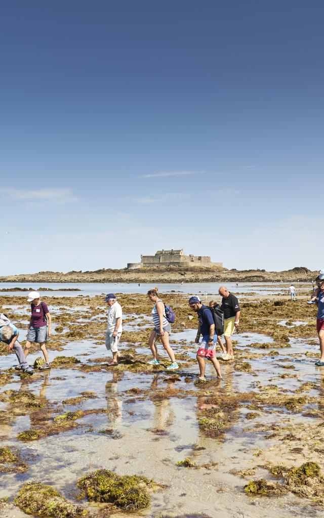 ©alamoureux Découverte Guidée Du Littoral (27)