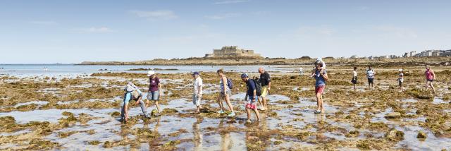 ©alamoureux Découverte Guidée Du Littoral (27)