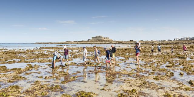 ©alamoureux Découverte Guidée Du Littoral (27)