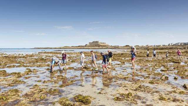 ©alamoureux Découverte Guidée Du Littoral (27)