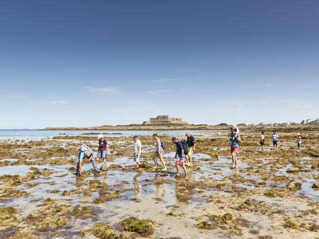 ©alamoureux Découverte Guidée Du Littoral (27)