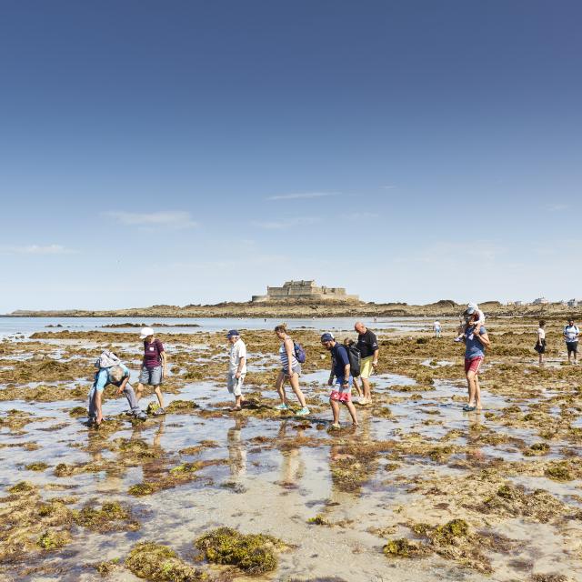 ©alamoureux Découverte Guidée Du Littoral (27)