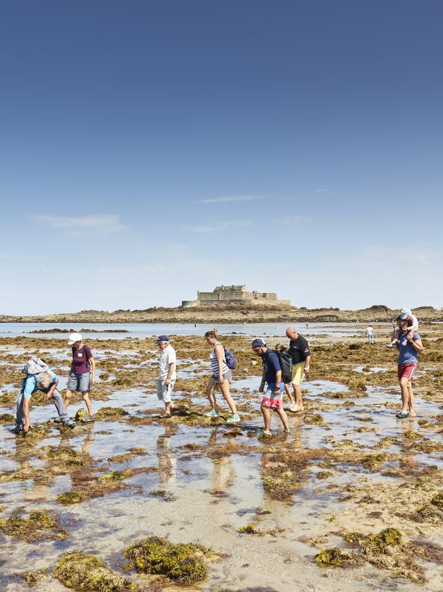 ©alamoureux Découverte Guidée Du Littoral (27)