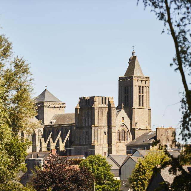 Cathedrale Saint Samson Dol De Bretagne Alexandre Lamoureux 988