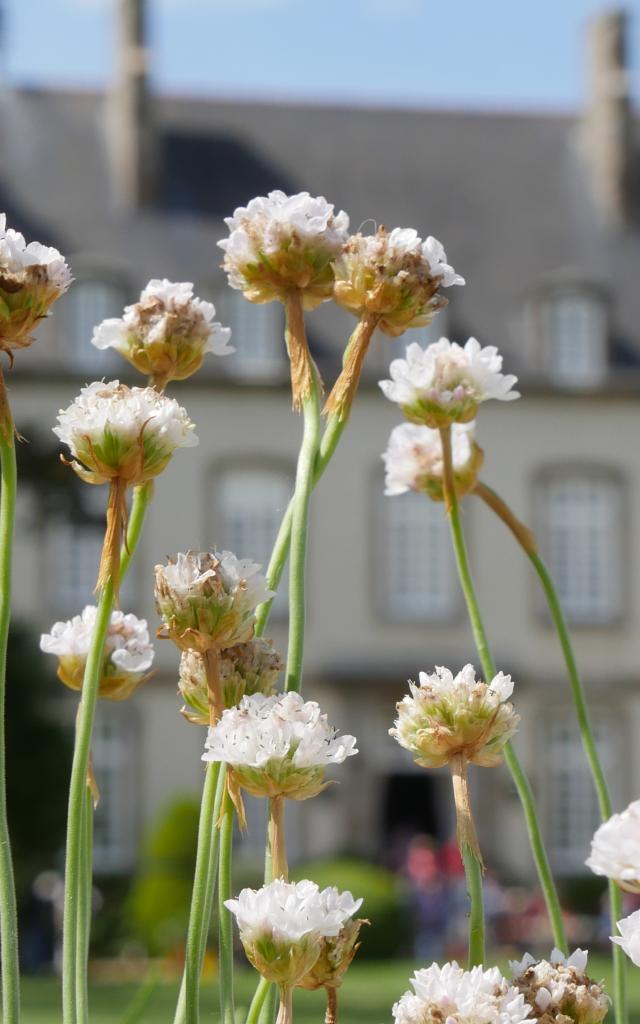 Ville Bague - Journée des plantes et gourmandises