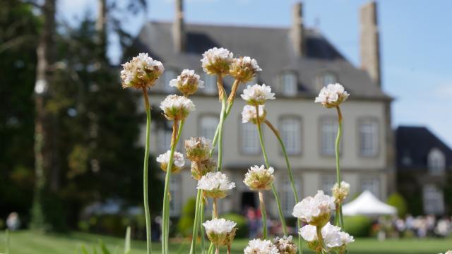 Ville Bague - Journée des plantes et gourmandises