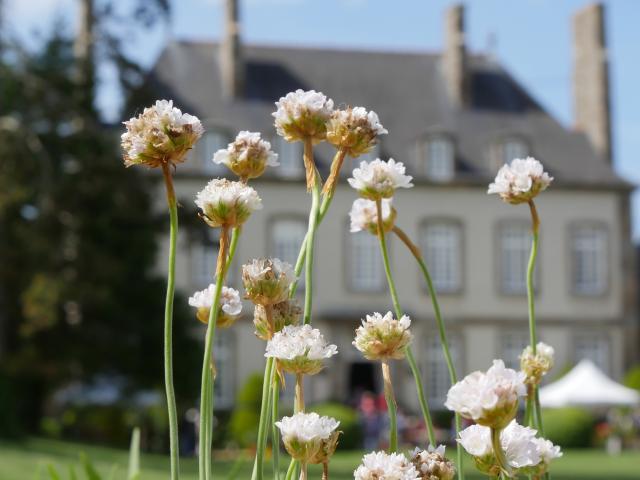 Ville Bague - Journée des plantes et gourmandises