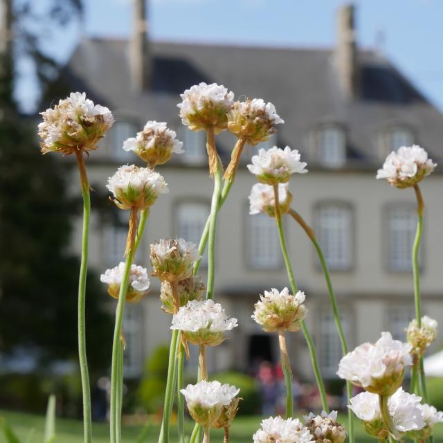 Ville Bague - Journée des plantes et gourmandises