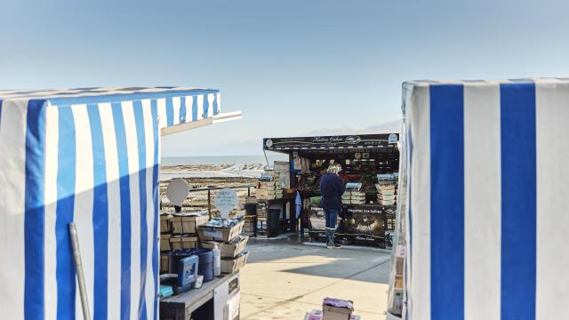 Marche Aux Huitres Port De La Houle Cancale Alexandre Lamoureux 2794