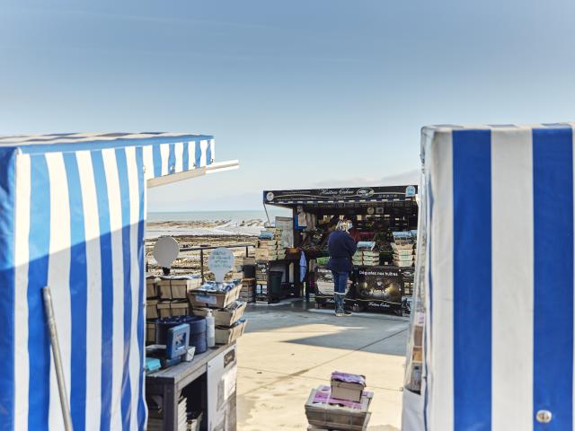 Marche Aux Huitres Port De La Houle Cancale Alexandre Lamoureux 2794