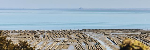 Parcs A Huitres Cancale Alexandre Lamoureux 3002