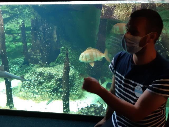 ©smbmsm Soigneur Au Grand Aquarium Thomas Blog