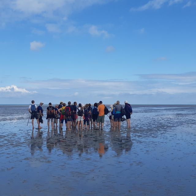 Salida de la Smbmsm en la orilla de Hermelles Bahía del Mont Saint Michel (3)