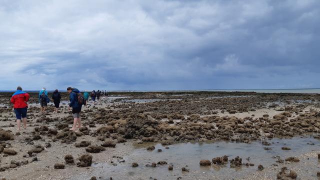 ©smbmsm Sortie Sur Le Banc Des Hermelles Baie Du Mont Saint Michel Le Group