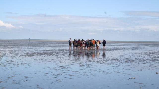 ©smbmsm Sortie Sur Le Banc Des Hermelles Groupe De Personnes Baie Du Mont Saint Michel