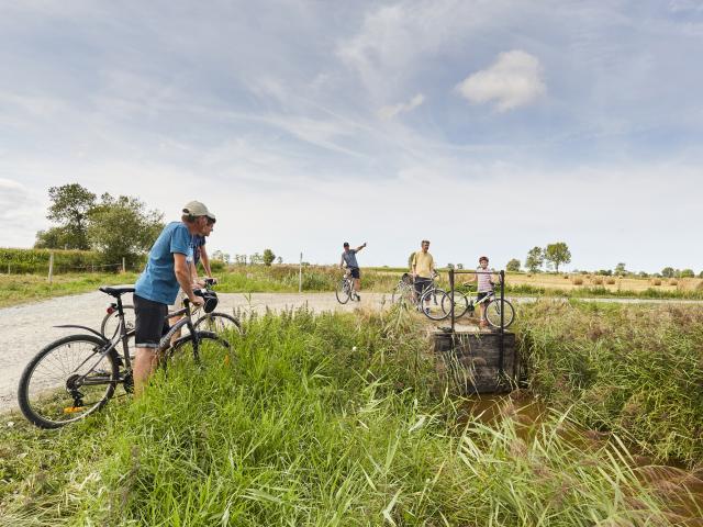 Balade à vélo - La Fraisnais