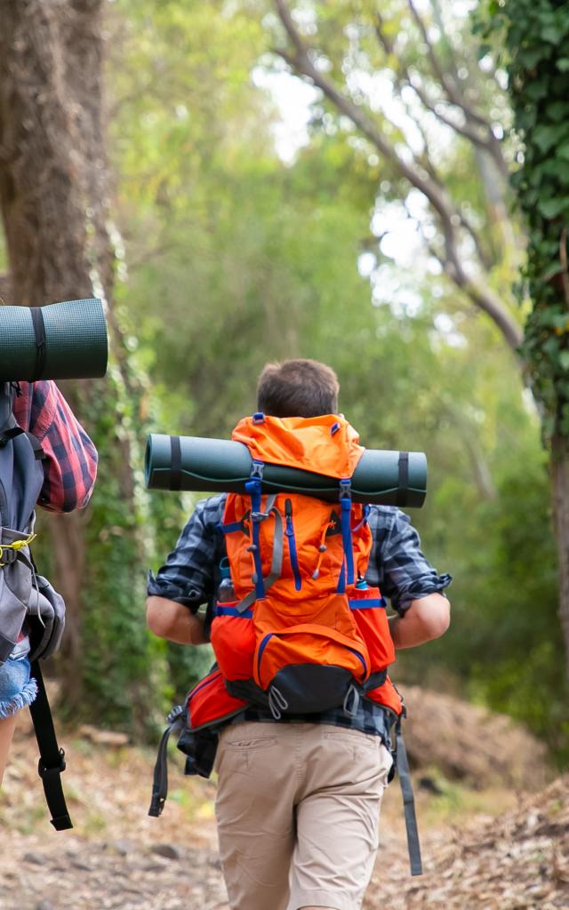 Back view of backpackers walking on mountainous trail. Caucasian hikers or traveler carrying backpacks and hiking in forest together. Backpacking tourism, adventure and summer vacation concept