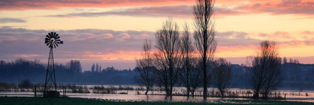 Braley Pierre Couleurs Matinales Imprimee