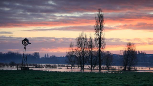 Braley Pierre Couleurs Matinales Imprimee