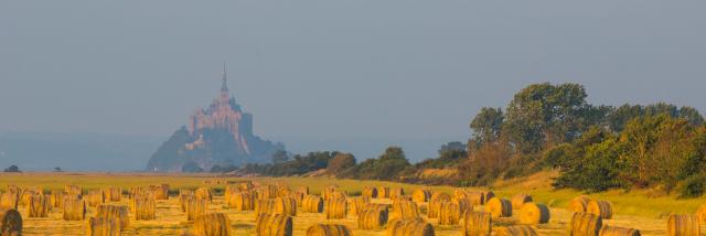 Mont Saint Michel Bay Field Simon Bourcier 915