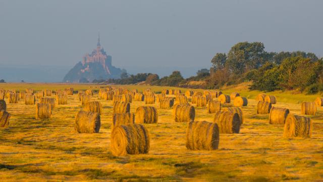 Champ Baie Du Mont Saint Michel Simon Bourcier 915