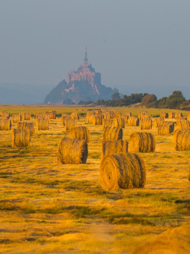 Champ Baie Du Mont Saint Michel Simon Bourcier 915