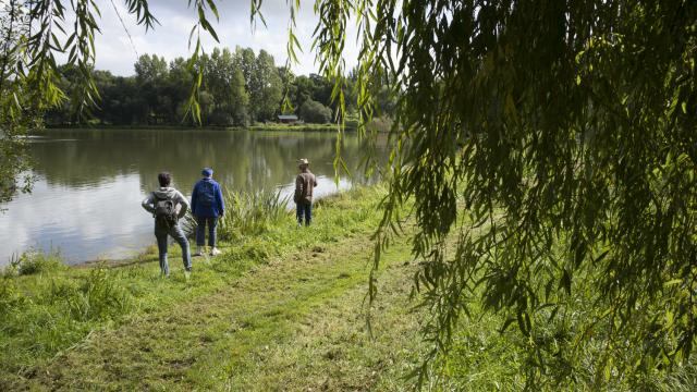 Chemin De Balade Bonnemain Rodolphe Marics