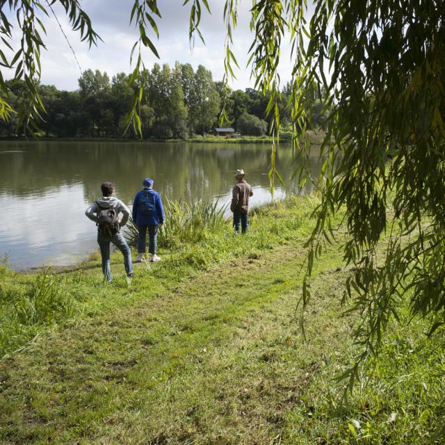 Chemin De Balade Bonnemain Rodolphe Marics