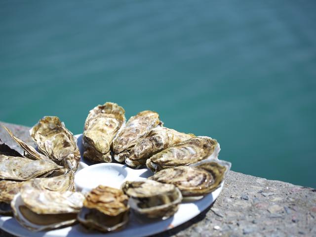 Degustation D Huitres Cancale Alexandre Lamoureux 7359