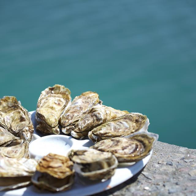 Degustation D Huitres Cancale Alexandre Lamoureux 7359