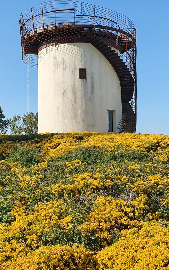 Le Belvedere Des Ondes Saint Benoit Des Ondes Smbmsm 3056