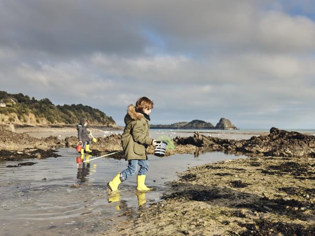 Peche A Pied Abri Des Flots Cancale Alexandre Lamoureux 2798