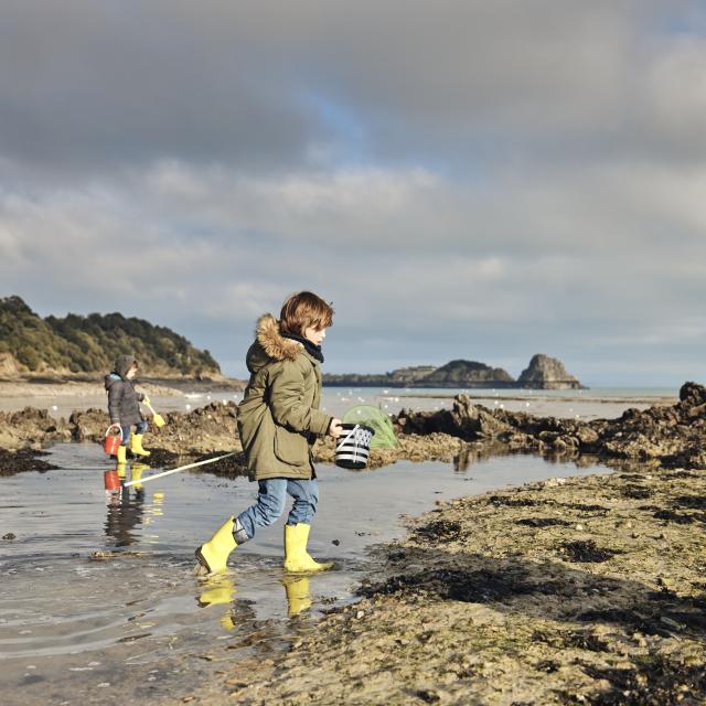 Peche A Pied Abri Des Flots Cancale Alexandre Lamoureux 2798