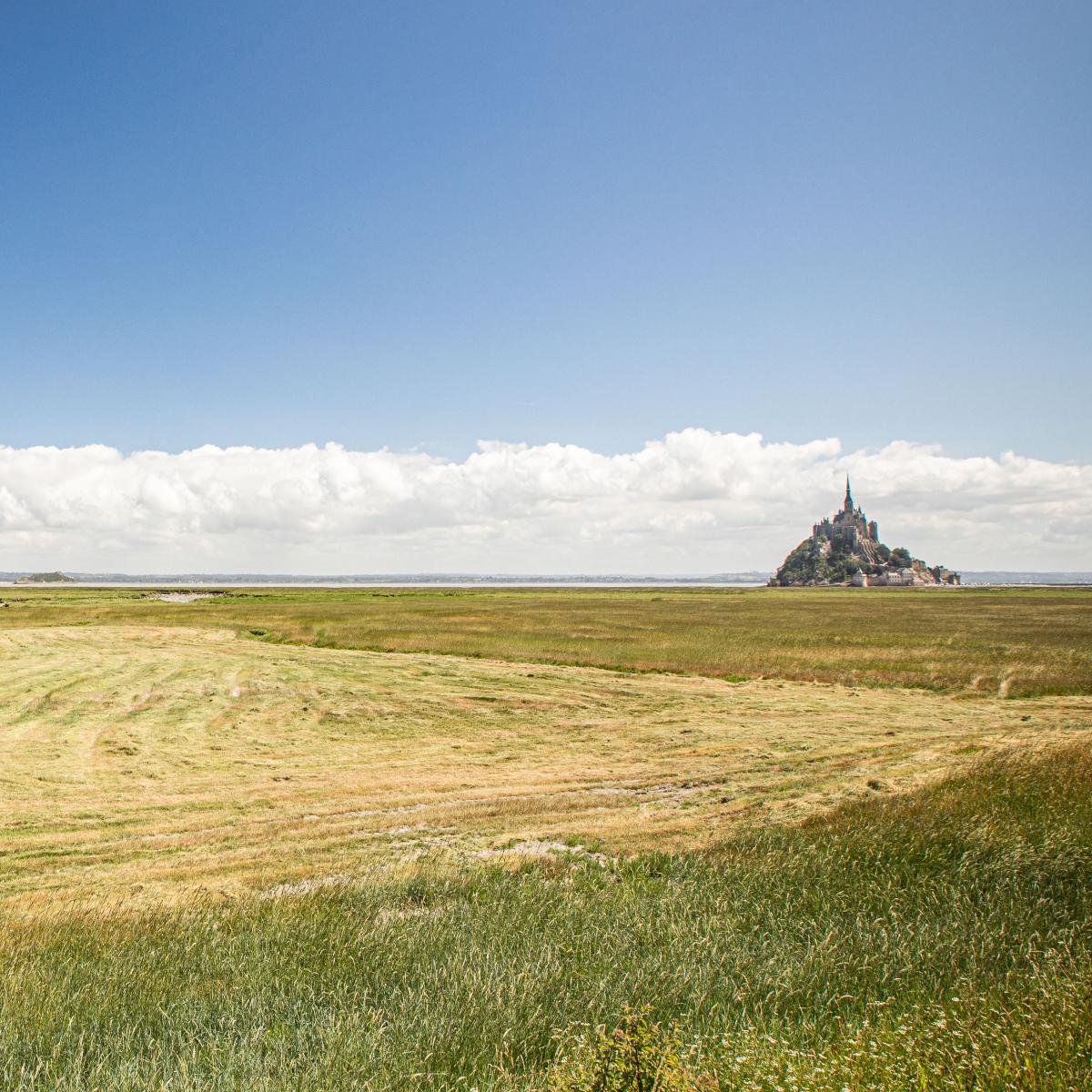 La Pointe Du Grouin Et Son île Aux Oiseaux Saint Malo Baie Du Mont