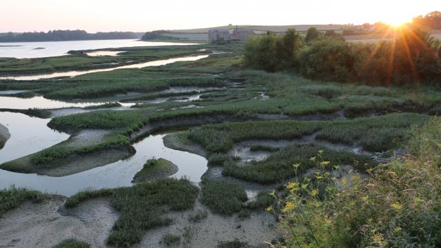 Saint Jouan Des Guerets Coucher De Soleil Sur Les Bords De Rance Smbmsm 455