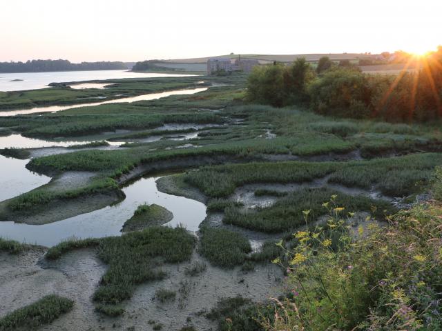 Saint Jouan Des Guerets Coucher De Soleil Sur Les Bords De Rance Smbmsm 455