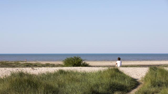 Balade à pied et repos sur la plage - Hirel