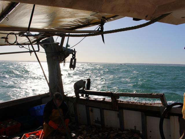 SMBMSM - blog - Scallop fishermen (5)