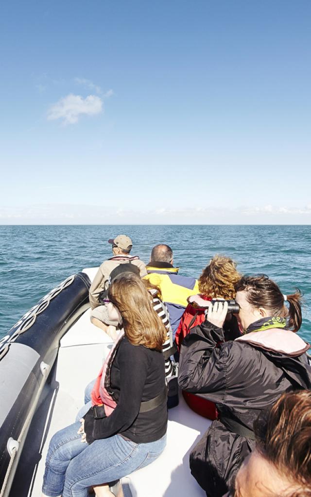 ©aLamoureux - Stroll in the sea Cancale (6)