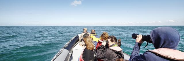 ©aLamoureux - Stroll in the sea Cancale (6)