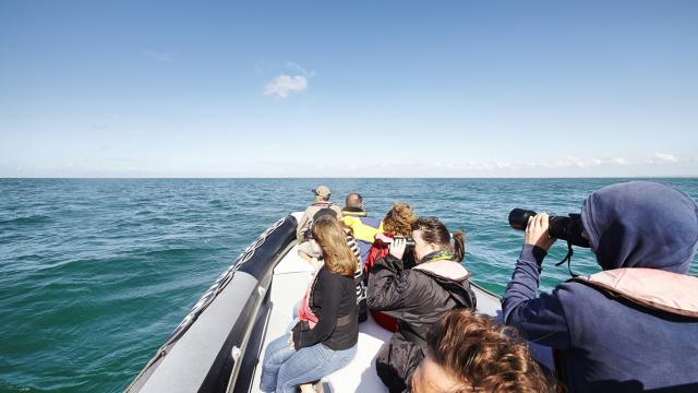 Balade en mer Pointe du Grouin - 2013