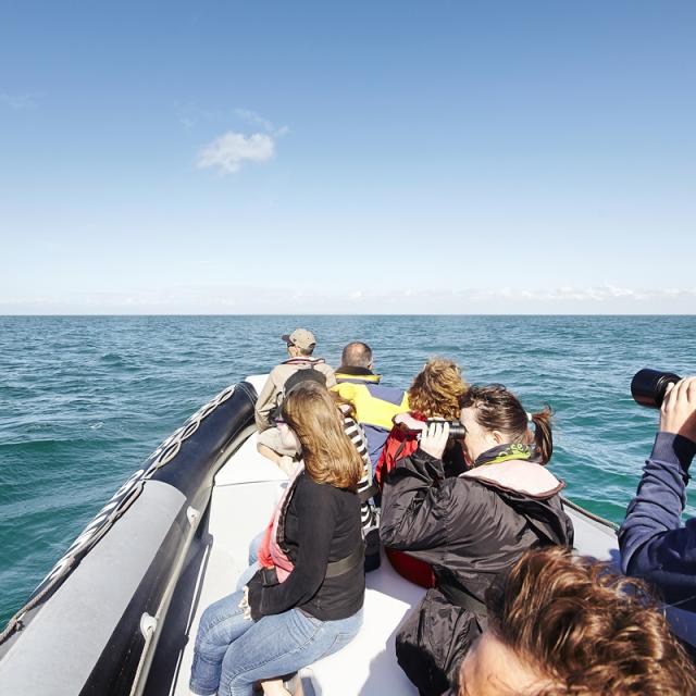 aLamoureux - Wandeling in de zee Cancale (6)