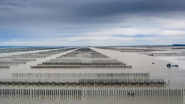 Pays de Dol , Baie du Mont-saint-Michel