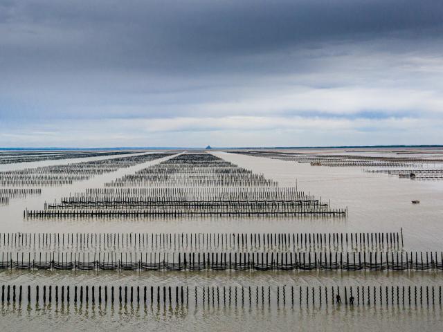 Pays de Dol , Baie du Mont-saint-Michel