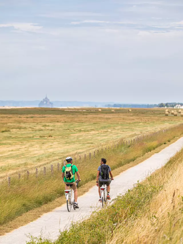 Le Vivier-sur-mer , Pays de Dol Baie du Mont-saint-Michel